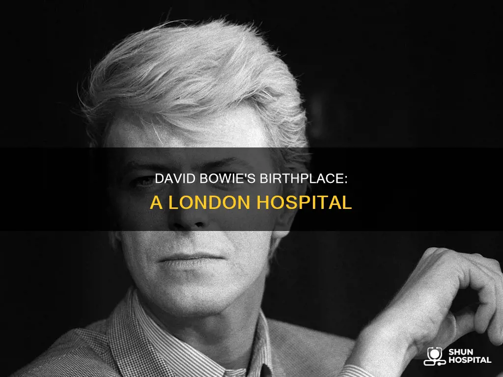 what hospital was david bowie born in