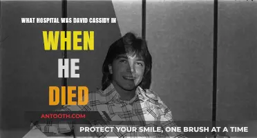 David Cassidy's Final Days: The Hospital Where He Passed Away