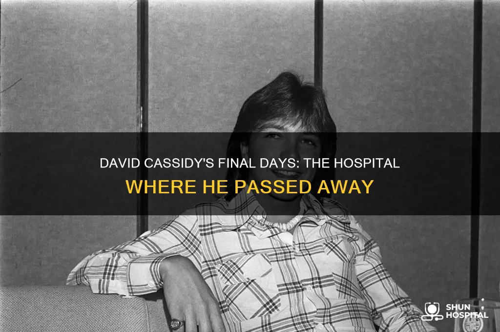 what hospital was david cassidy in when he died