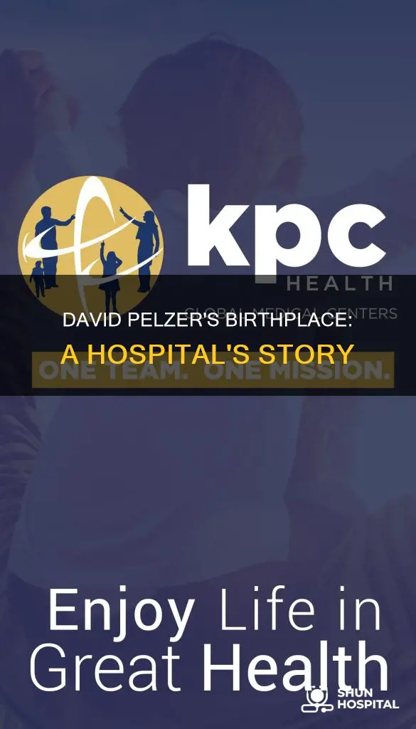 what hospital was david pelzer born at