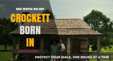 Davy Crockett's Birthplace: Which Hospital?