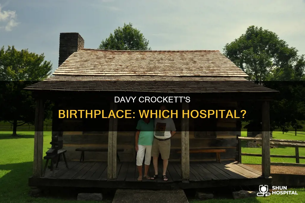 what hospital was davy crockett born in
