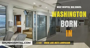 Denzel Washington's Birthplace: Which Hospital?