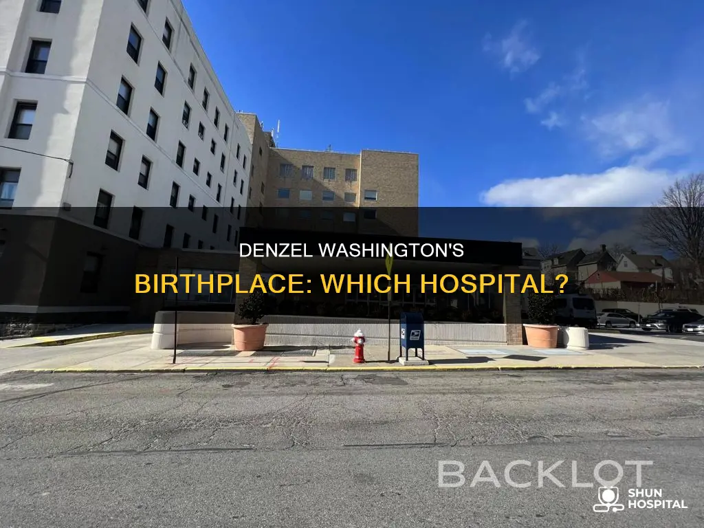 what hospital was denzel washington born in
