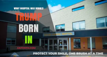 Where Was Donald Trump Born?