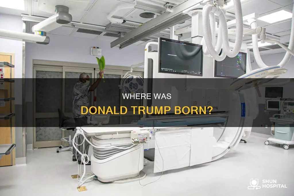 what hospital was donald trump born in