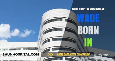 Dwyane Wade's Birthplace: Which Hospital?