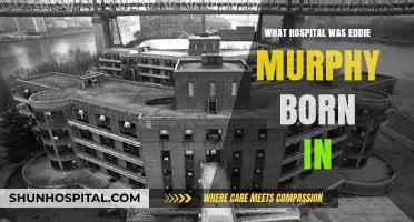 Eddie Murphy's Birthplace: A Hospital in Brooklyn, New York