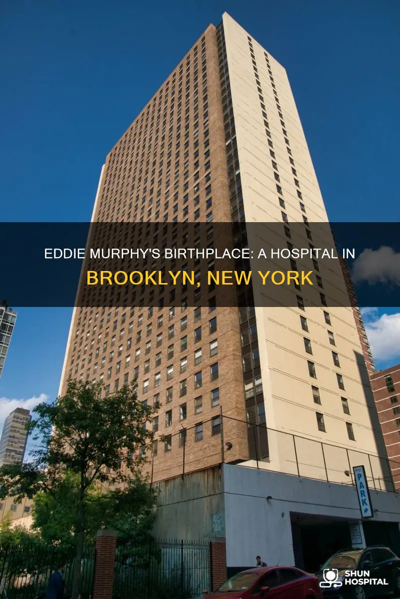 what hospital was eddie murphy born in