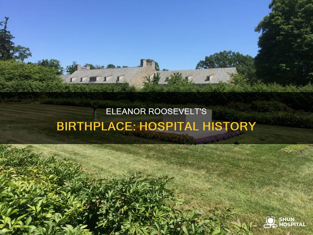 what hospital was eleanor roosevelt born in