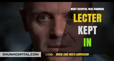 The Asylum of Hannibal Lecter: A Chilling Hospital Stay