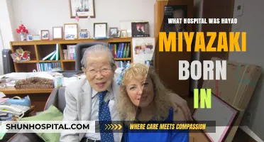 Hayao Miyazaki's Birthplace: A Hospital in Tokyo, Japan