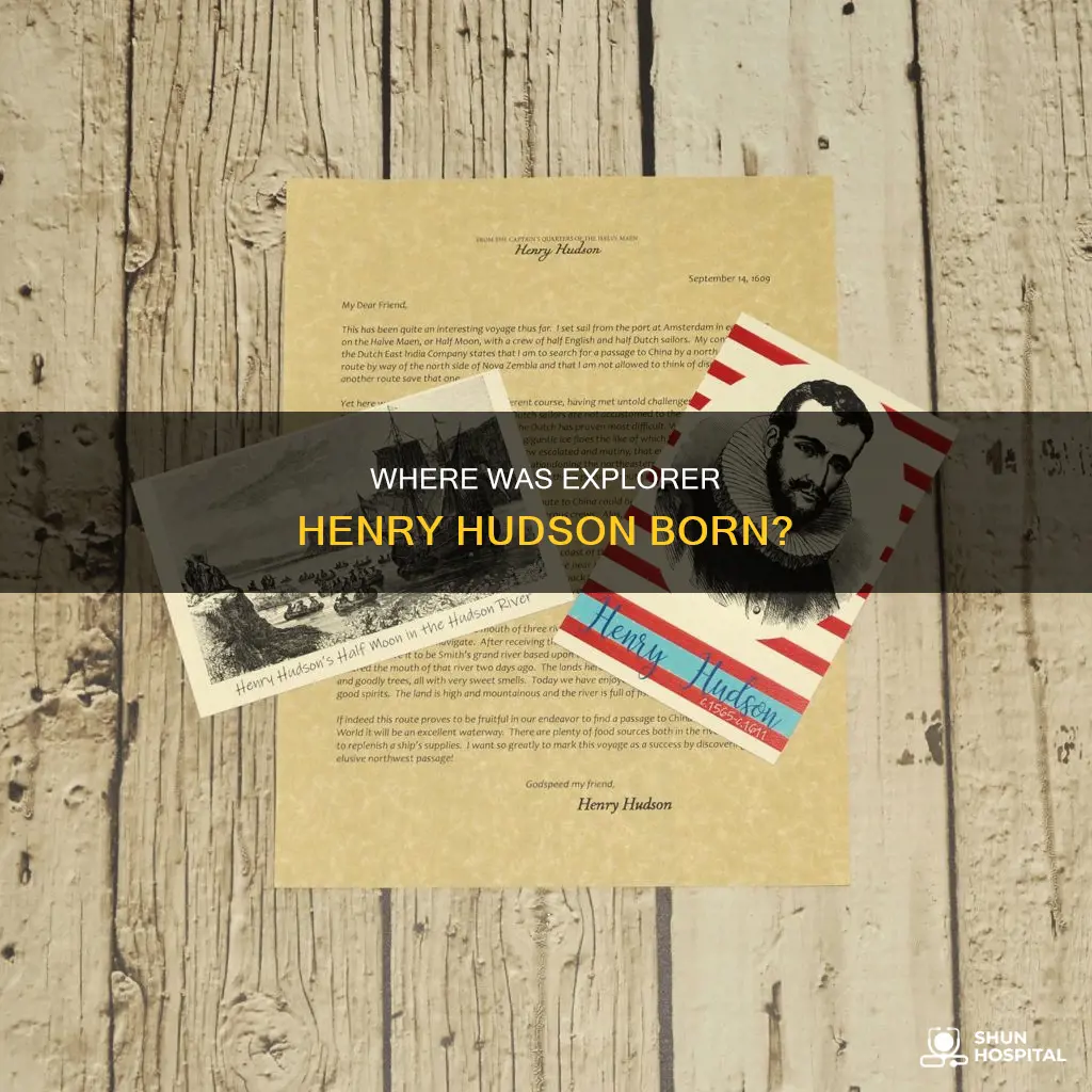 what hospital was henry hudson born in