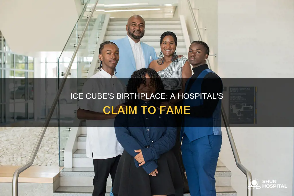 what hospital was ice cube born in