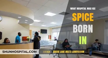 Ice Spice's Birthplace: Which Hospital?