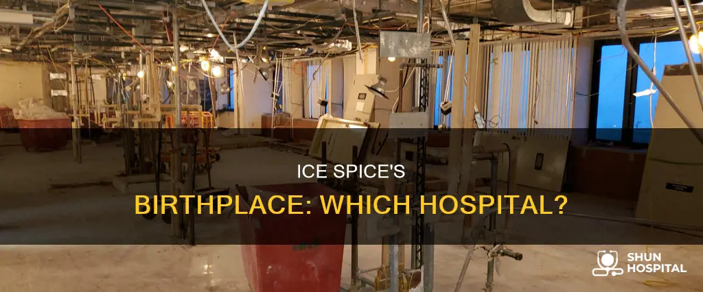 what hospital was ice spice born in
