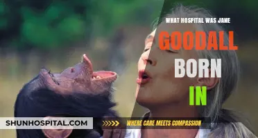 Where Was Jane Goodall Born?