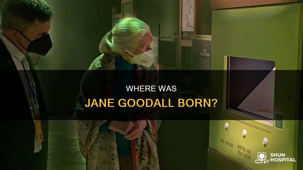 what hospital was jane goodall born in