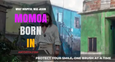 Where Was Jason Momoa Born?