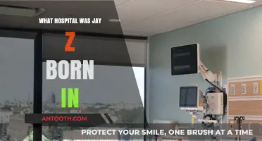 Jay-Z's Birthplace: A Hospital in Brooklyn, New York