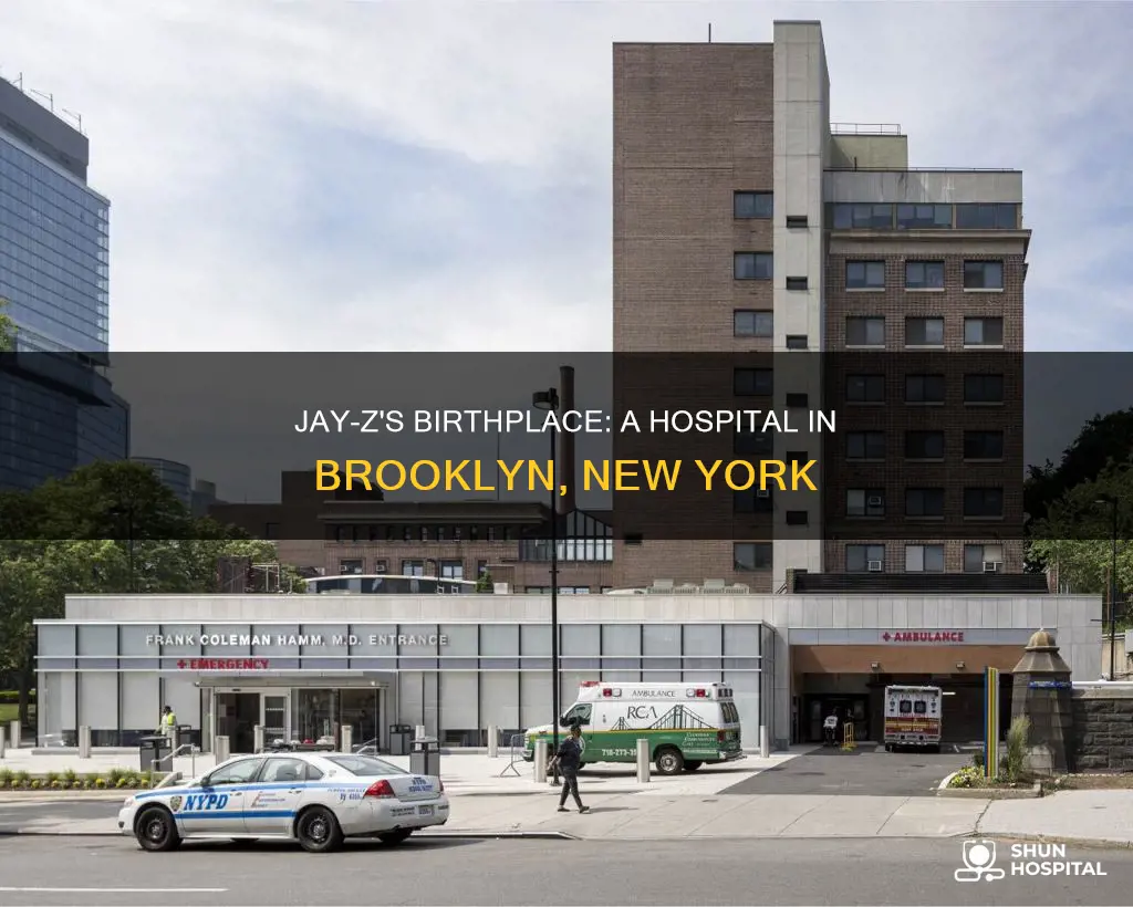 what hospital was jay z born in