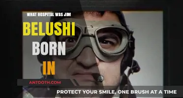 Belushi's Birthplace: A Look at the Hospital He Was Born In