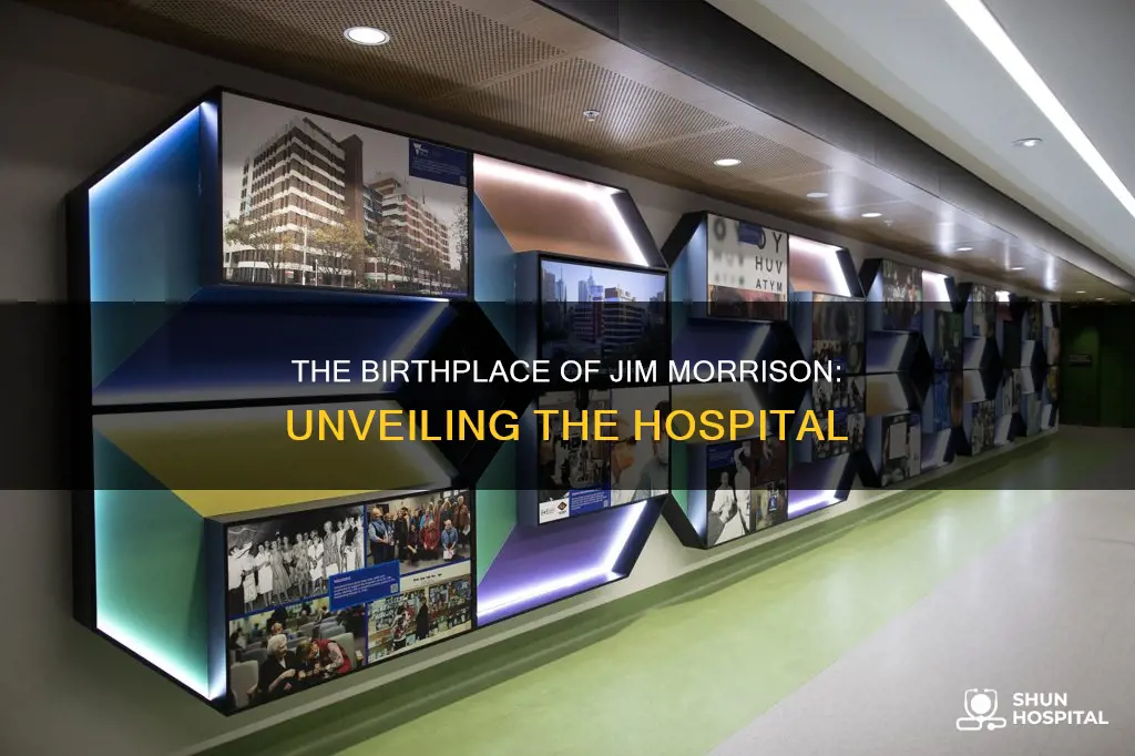 what hospital was jim morrison born in