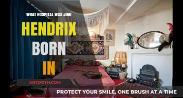 Hendrix's Birthplace: A Hospital in Seattle