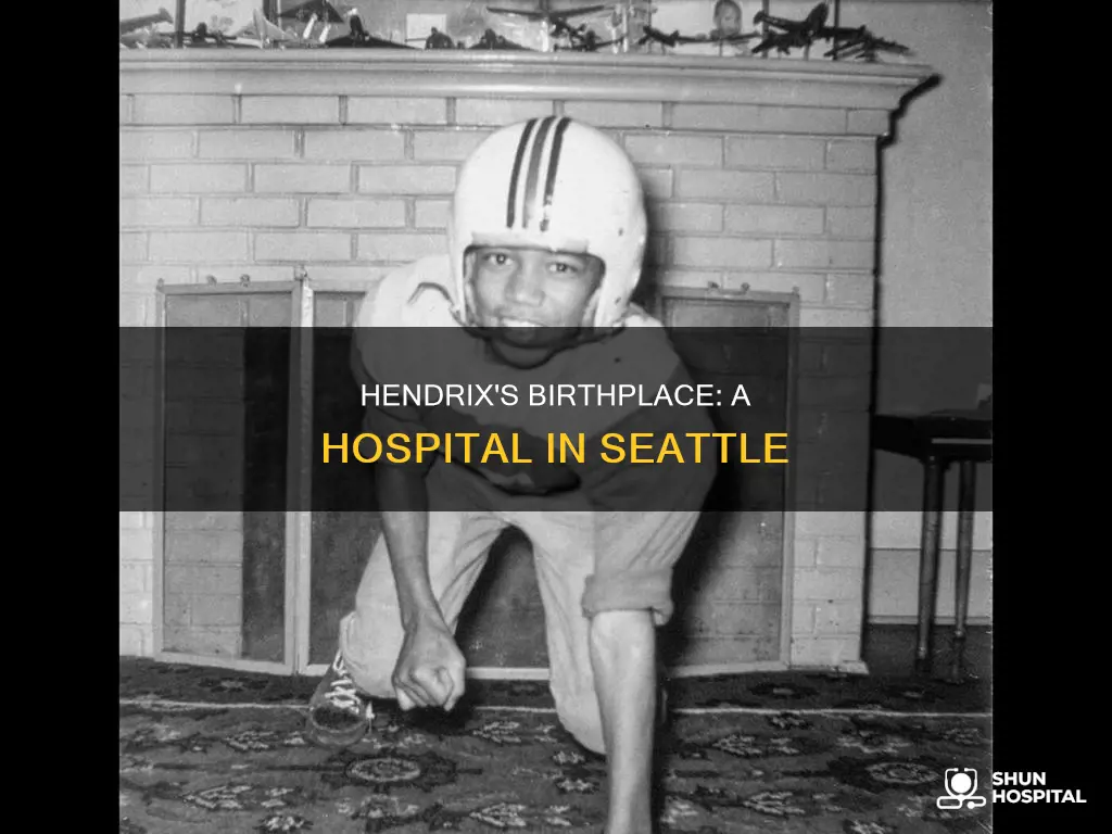 what hospital was jimi hendrix born in