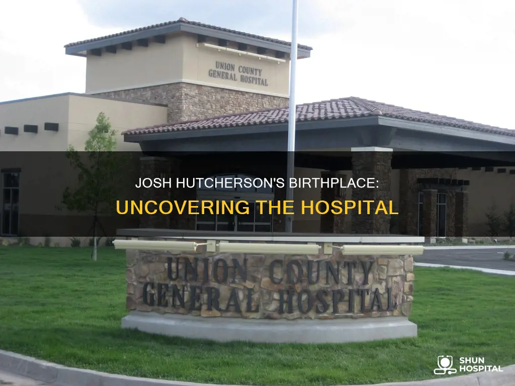 what hospital was josh hutcherson born in