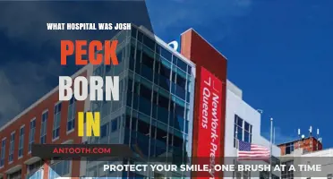 Josh Peck's Birthplace: Which Hospital Was It?