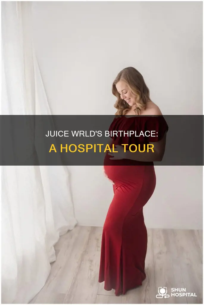 what hospital was juice wrld born in