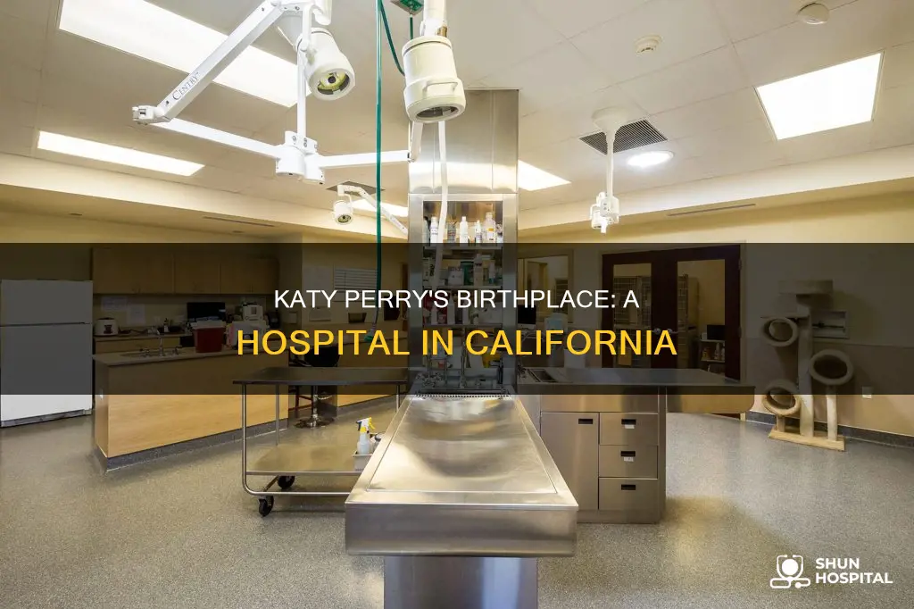 what hospital was katy perry born in