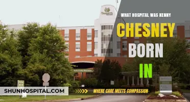 Kenny Chesney's Birthplace: A Hospital in Tennessee