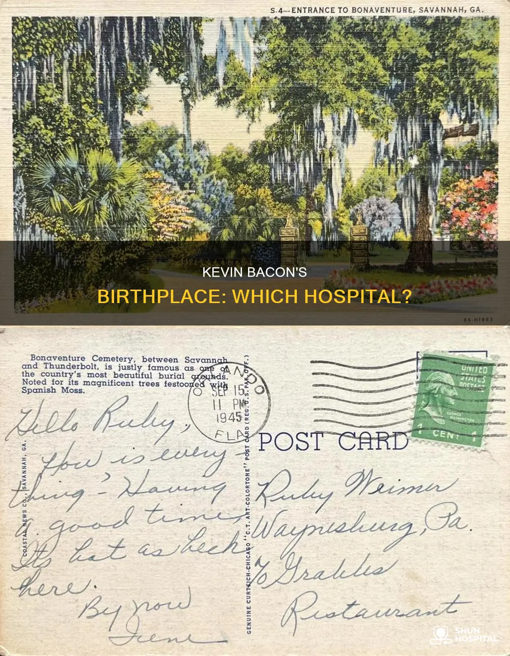 what hospital was kevin bacon born in