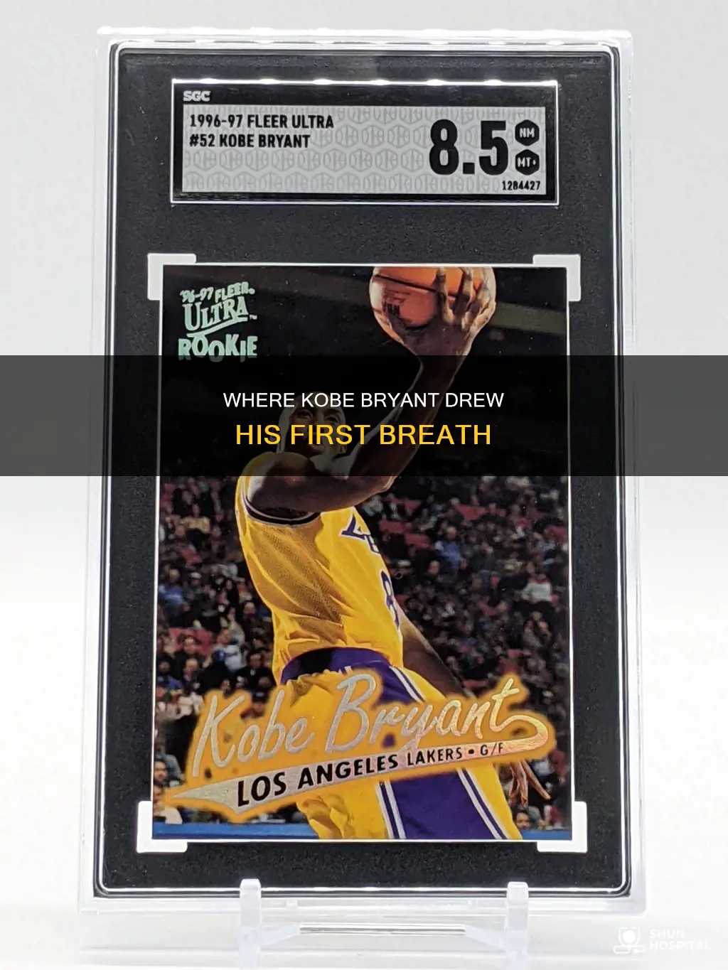 what hospital was kobe bryant born at