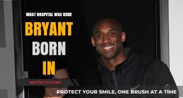 Kobe Bryant's Birthplace: Exploring His Early Beginnings