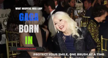 Lady Gaga's Birthplace: A Look at Lenox Hill Hospital
