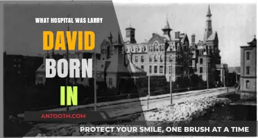 Where Was Larry David Born?