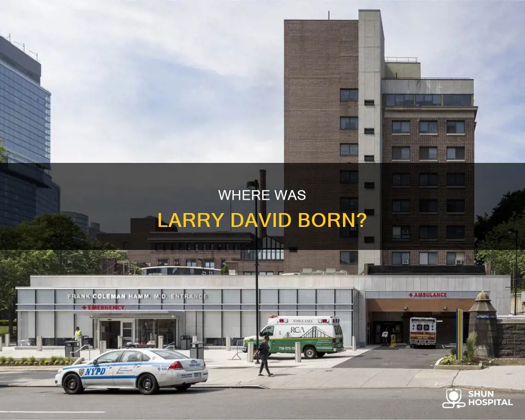 what hospital was larry david born in