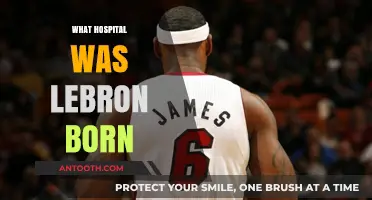 Where Was LeBron James Born? The Hospital Revealed