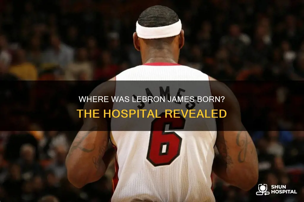 what hospital was lebron born