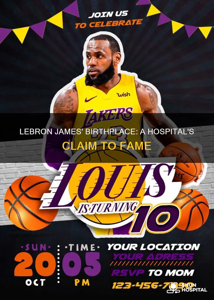 what hospital was lebron james born at