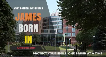 LeBron James' Birthplace: A Hospital's Claim to Fame