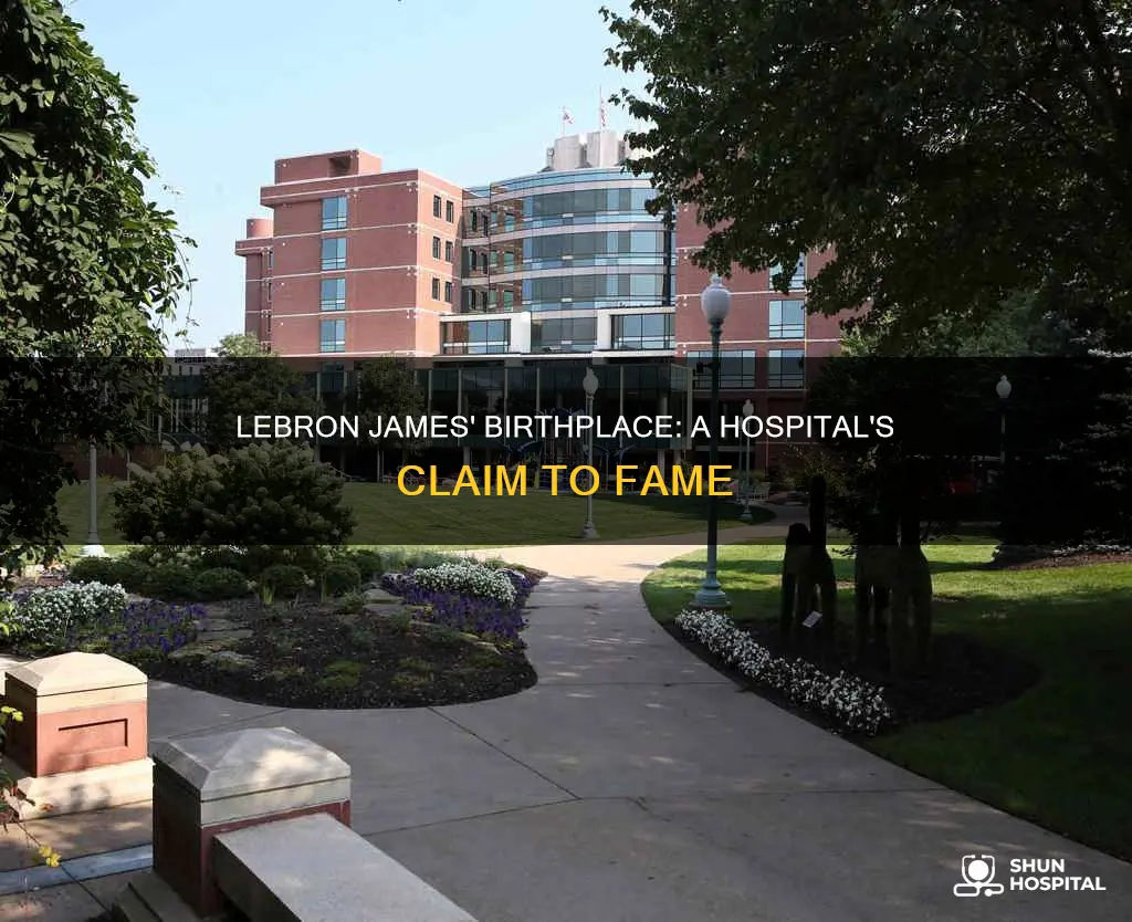 what hospital was lebron james born in