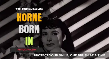 Where Lena Horne Entered the World