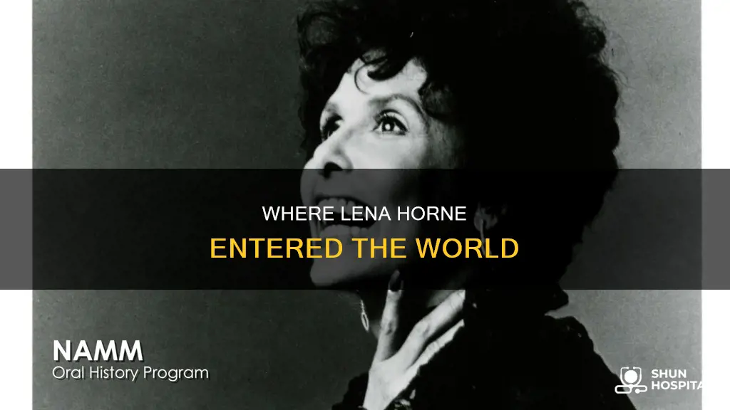 what hospital was lena horne born in