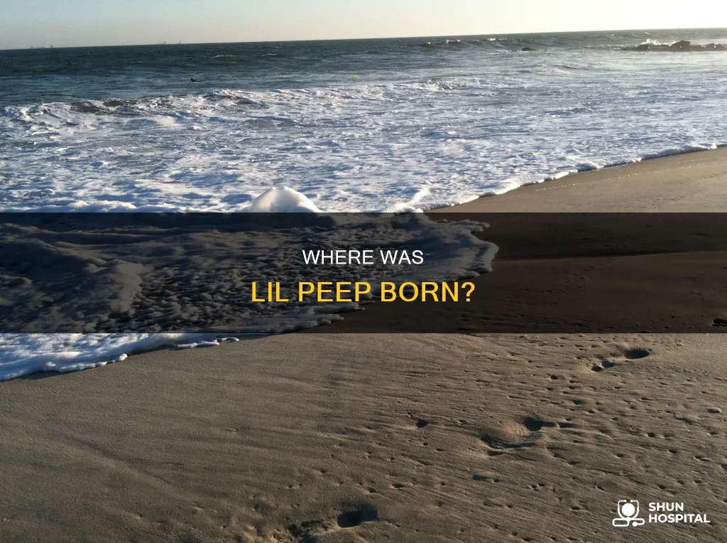 what hospital was lil peep born in