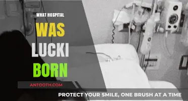 Where Was Lucki Born? Unveiling the Hospital of Birth