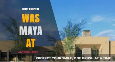 Unveiling Maya's Hospital Stay: Location and Details Revealed